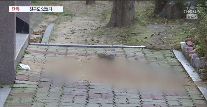 서울의 한 아파트 단지에서 초등학생이 던진 돌에 맞아 70대 남성이 사망하는 사고가 발생했다. 사진은 사고 현장. TV조선 보도화면 캡처