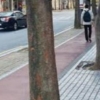 “간판 가린다”…20년 넘은 조경수, ‘싹둑’ 한 건물주들