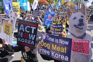 “개 먹으려 도살 시 최대 징역 3년”…‘개 식용 금지법’ 법사위 통과