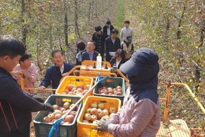 충북의 ‘효자’ 도시농부·못난이 농산물, 농가소득 안정 효과 봤다