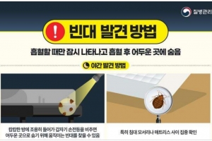 강원 원주 외국인 기숙사서 빈대…매트리스서 확인