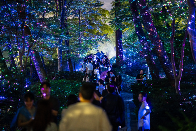 올해 하반기 진행한 ‘청와대 밤의 산책’에서 관람객이 숲을 거닐고 있다. 문체부 제공