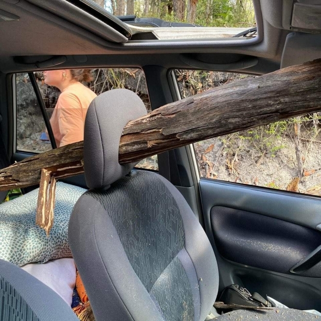 호주 북동부 퀸즐랜드 주 크가리(K’gari) 섬의 멕켄지 호수 인근에서 최근 커다란 나무가 차량을 덮치는 사고가 발생했다.  페이스북 캡처