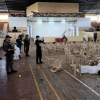 필리핀 대학 미사 중 무슬림 세력의 폭탄테러, 적어도 4명 사망