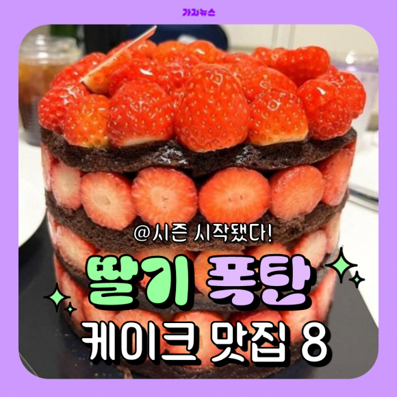 “시즌 시작됐다!” 달콤한 딸기 폭탄 케이크 맛집 8