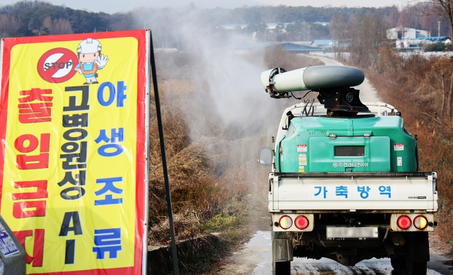 철저한 방역으로 조류인플루엔자 예방