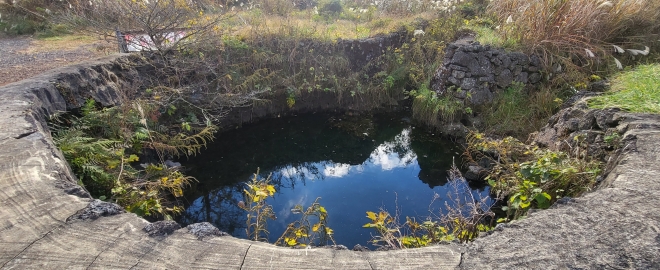 정물오름 입구에 있는 정물샘. 한때는 이 일대 주민들의 식수원이었던 이 용천수는 지금은 연못처럼 흔적만 남아 있다. 제주 강동삼 기자