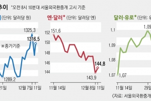 고개드는 ‘조기 피벗’…요동치는 외환 시장