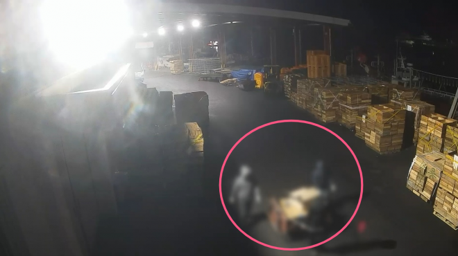 베트남 국적 선원들이 지난 10일 새벽 서귀포항에 정박한 어선에 침입해 냉동갈치를 훔치고 있는 모습이 폐쇄회로(CC)TV에 잡힌 모습. 서귀포해양경찰서 제공 영상 캡처