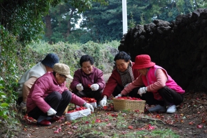 인생2막 어디서 하지?… “제주 은퇴자공동체마을에서 미리 살아보세요”