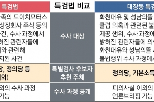 디올백도 김여사 일가도… “특검 의지만 있으면 수사”