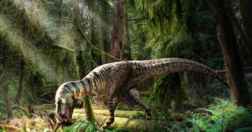 백악기 시대 공룡의 제왕으로 군림했던 티라노사우루스도 어릴 적에는 먹잇감 선택이 까다로운 ‘초딩 입맛’이었다는 연구 결과가 나왔다.  사이언스 제공