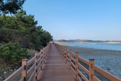 ‘별주부전 무대’ 사천 비토섬 경관·갯벌 아우르는 탐방로 준공