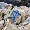울산 대왕암공원 기암괴석에 스프레이 ‘낙서’