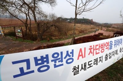 천안 산란계농장, 고병원성 AI 확진…일시 이동중지명령