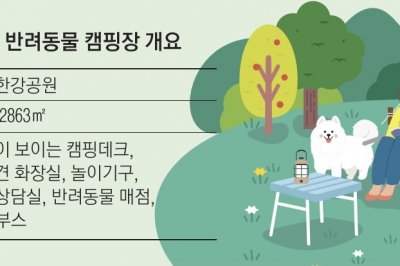 댕댕이 놀이기구·수영장… 한강서 반려동물과 캠핑하세요