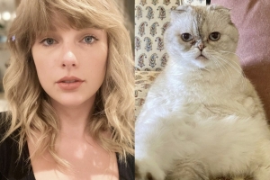 테일러 스위프트 반려묘, 재산 무려 1276억 ‘세계서 가장 부유한 고양이’