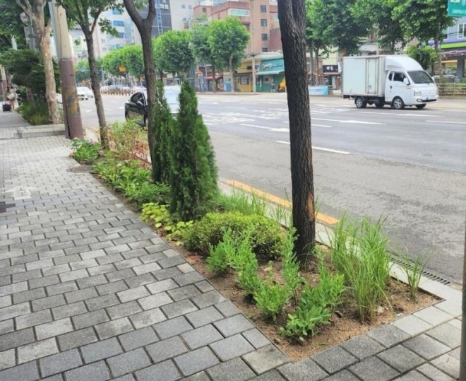 영등포구 당산로에 조성된 정원형 띠녹지 모습. 영등포구 제공