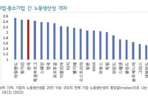 “국내 대·중소기업 간 노동 생산성 격차 OECD 회원국 중 최고 수준”
