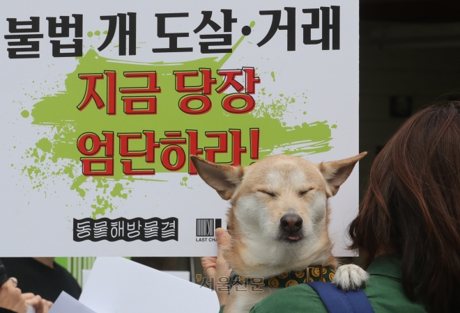 날일월-03월-국제강아지의날-강아지 공장 폐쇄 촉구 기자회견