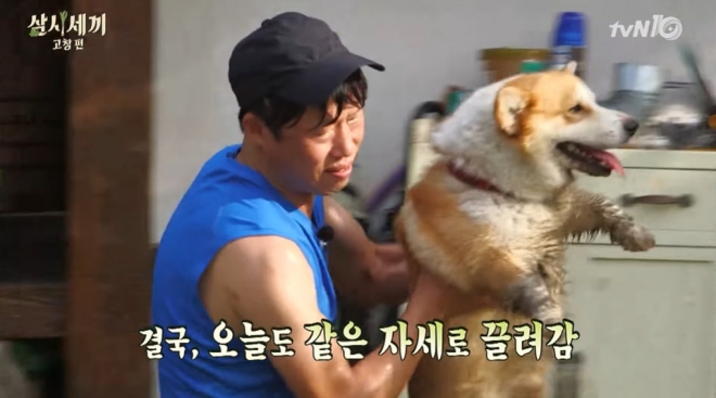 tvN ‘삼시세끼’