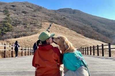 반려동물과 여행하기 좋은 도시 만든다…반려동물 친화관광도시 공모