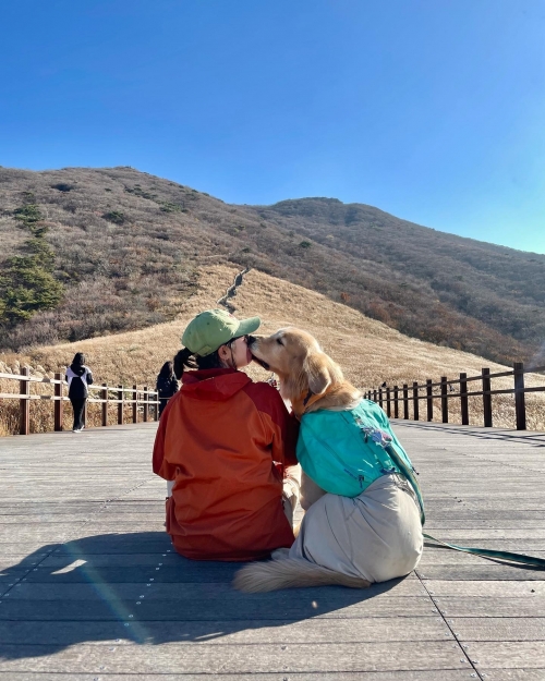 간월재에서 진행된 울산 트레킹 미션투어 ‘멍파서블’ 현장사진. 한국관광공사 제공.