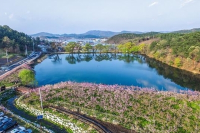 인공 시설물 지어… ‘반곡지’ 풍광 망가뜨린 경산시