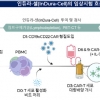 이노베이션바이오, 비동결 CD19·CD22 이중표적 카티 치료제 임상시험 승인