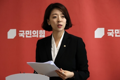 이수정 “배현진, 여성이라 피해자 됐을 수도… 원인 찾아야”