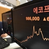 비틀대는 이차전지…대장주 에코프로 주가 반토막