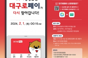“대구로 페이가 다시 찾아갑니다”… 월 30만원, 7% 할인 판매