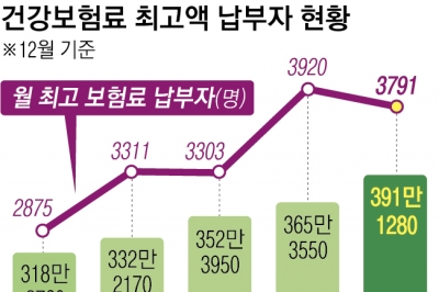 누구에겐 월급인데… 월 건보료 391만원 내는 직장인들