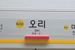 [속보]“화재 의심 신고”…오리역 무정차 통과