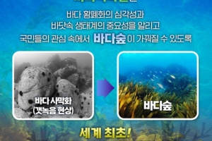 바다식목일 기념행사, 경북 최초로 포항에서 열린다