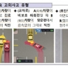 “비보호 좌회전시 그대로 ‘쾅’”…사기로 탄 보험금 94억원