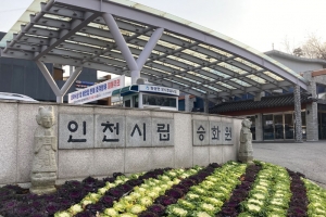 인천시립 화장장서 2명 유골 가루 뒤섞여… “직원 실수”