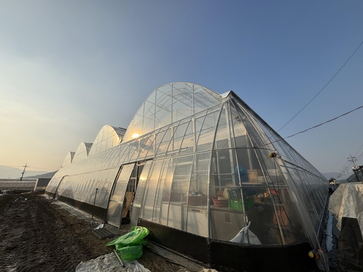 경기도 광주시 퇴촌면 연동형 하우스(경기도 제공)