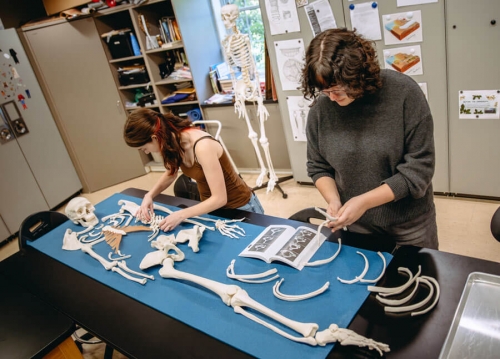법인류학자가 백골이 된 뼈를 맞춰 보고 있는 모습  미국 퀴니피액대 제공