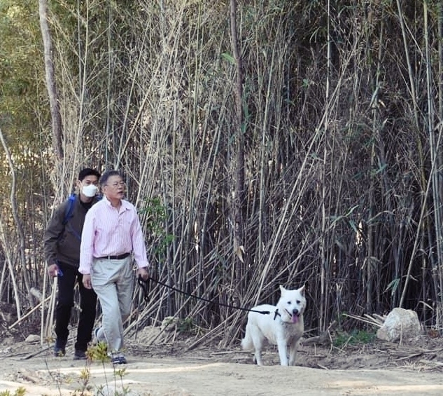 문재인 전 대통령의 퇴임 이후 근황 사진에는 늘 함께 했던 마루. 문재인 전 대통령 페이스북