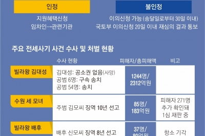 범죄단체 적용 가중처벌 어려워… 고작 15년이 최고형[전세사기, 끝나지 않은 악몽(중)]