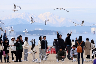 과자 주면 봄소식 전해 줄까