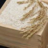 판로 걱정 없는 가루쌀, ‘쌀 수급 안정 대안’ 힘받는다