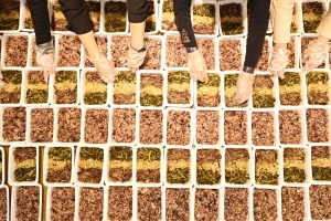 “정월대보름에 정성 가득 오곡밥 드세요”