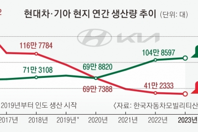 印 생산기지·中엔 전기차… 현대차의 재도약