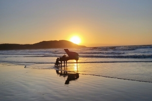 신안 자은도 ‘파아노의 섬 축제’ 4월 말 개막