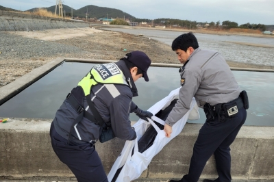 해변서 고립된 상괭이 ‘구출작전’…112순찰차 뒷좌석에 싣고 수족관으로