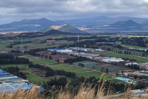 지하수 오염되고, 용천수 방치되고… 제주 생명수 ‘경고등’