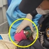 “뿡뿡아 눈 떠! 숨 쉬어!”…‘태명’ 부르며 29주 아기 살린 구급대원