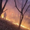 인천 왕길동 야산 화재 29분 만에 진화…1600㎡ 소실